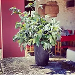 Casa Da Mata Holiday home Torres Novas