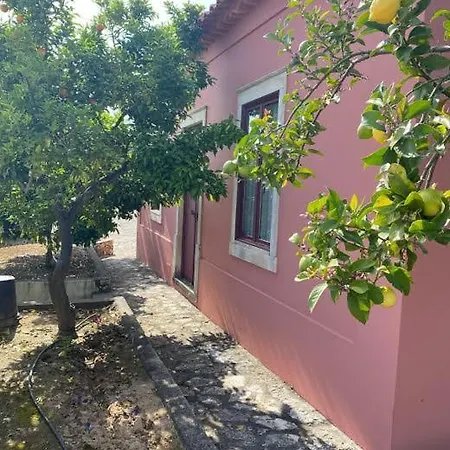 Casa Da Mata 펜션 *