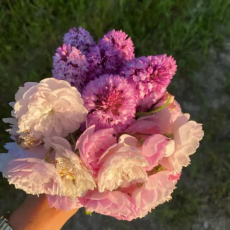 Vakantiehuis Casa Da Mata