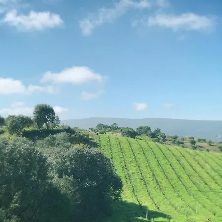 Casa Da Mata * Torres Novas