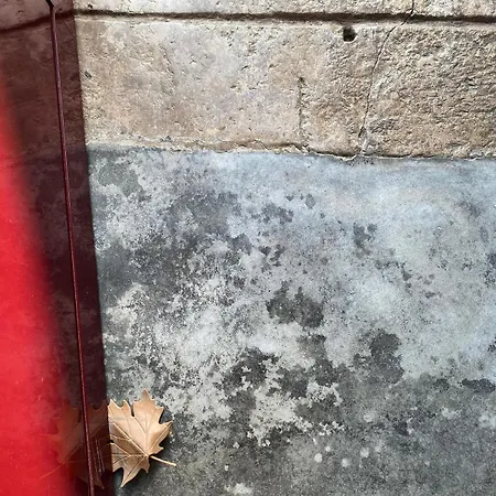 Casa Da Mata Nyaraló