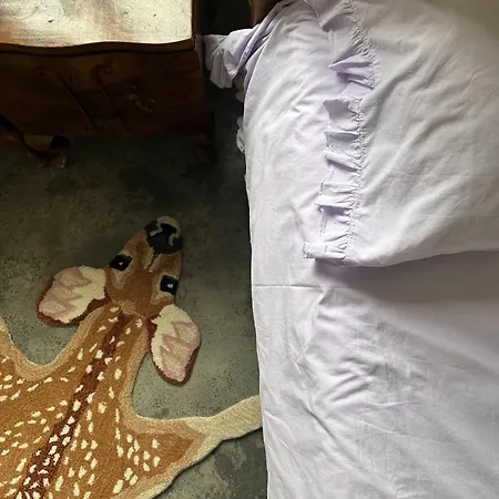펜션 Casa Da Mata 토레스노봐스
