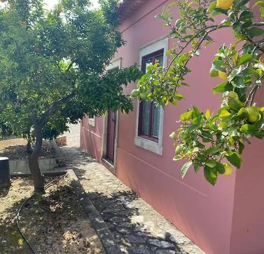 Casa Da Mata Casa de Férias *