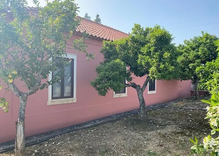 Casa Da Mata Casa de Férias *