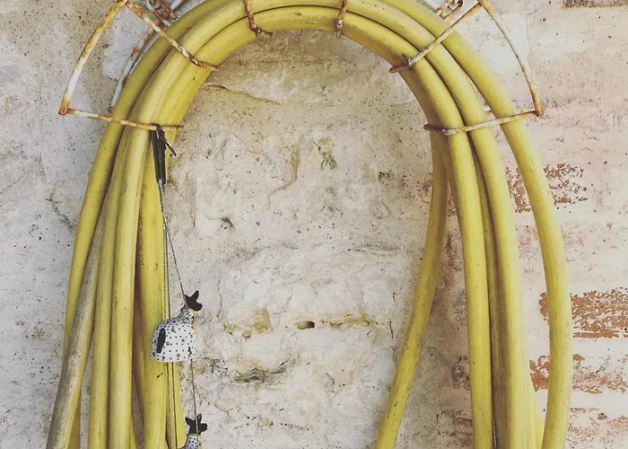 Casa Da Mata * توريس نوفاس