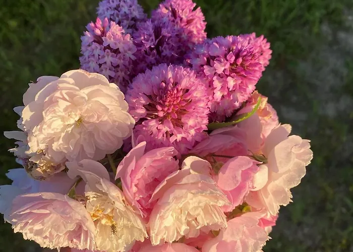 بيت للعطل Casa Da Mata