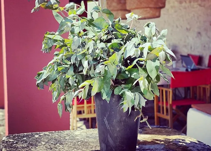 Casa Da Mata بيت للعطل توريس نوفاس