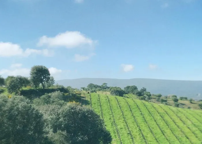 Casa Da Mata * توريس نوفاس