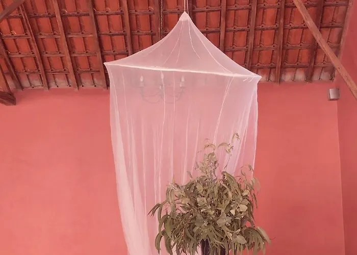 Casa Da Mata * توريس نوفاس