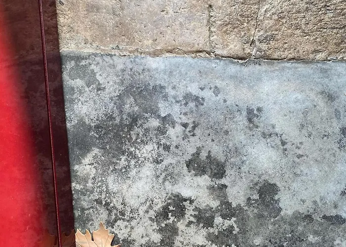 Casa Da Mata Casa de Férias